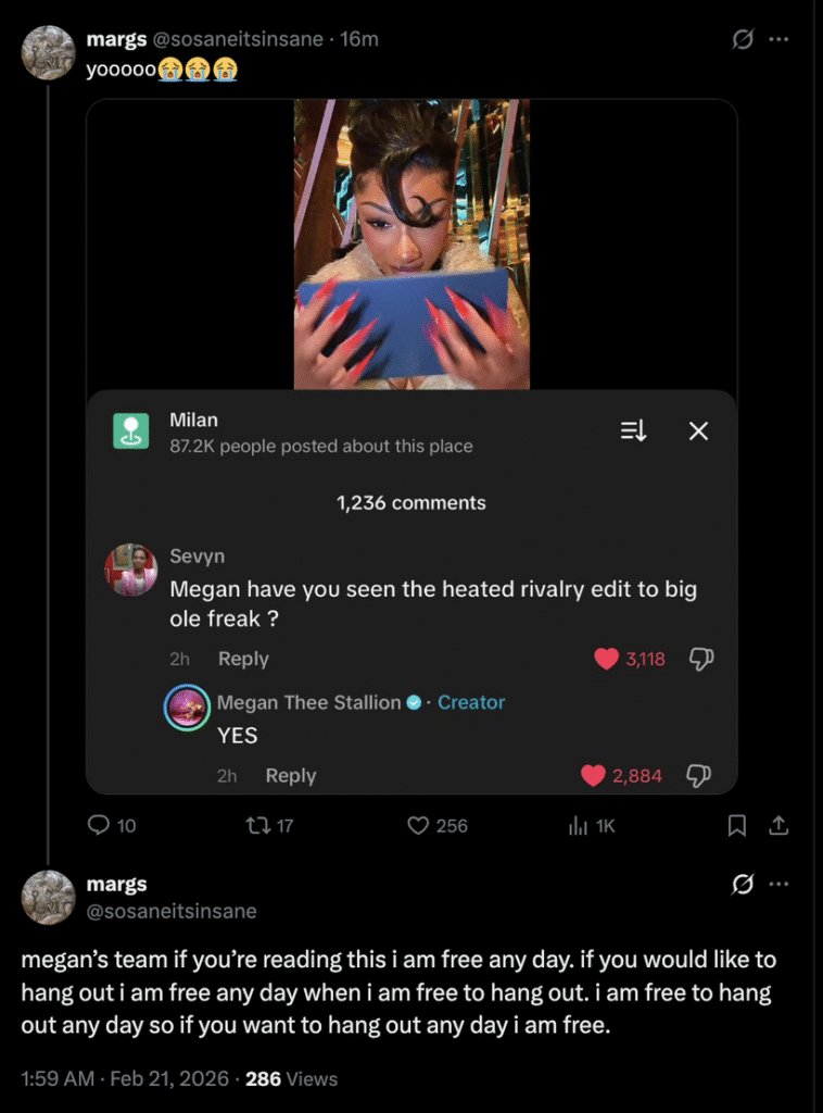 screenshot showing sosaneitsinsane on twitter saying "megan’s team if you’re reading this i am free any day. if you would like to hang out i am free any day when i am free to hang out. i am free to hang out any day so if you want to hang out any day i am free." in response to megan thee stallion on tiktok saying she has seen the heated rivalry edit to big ole freak