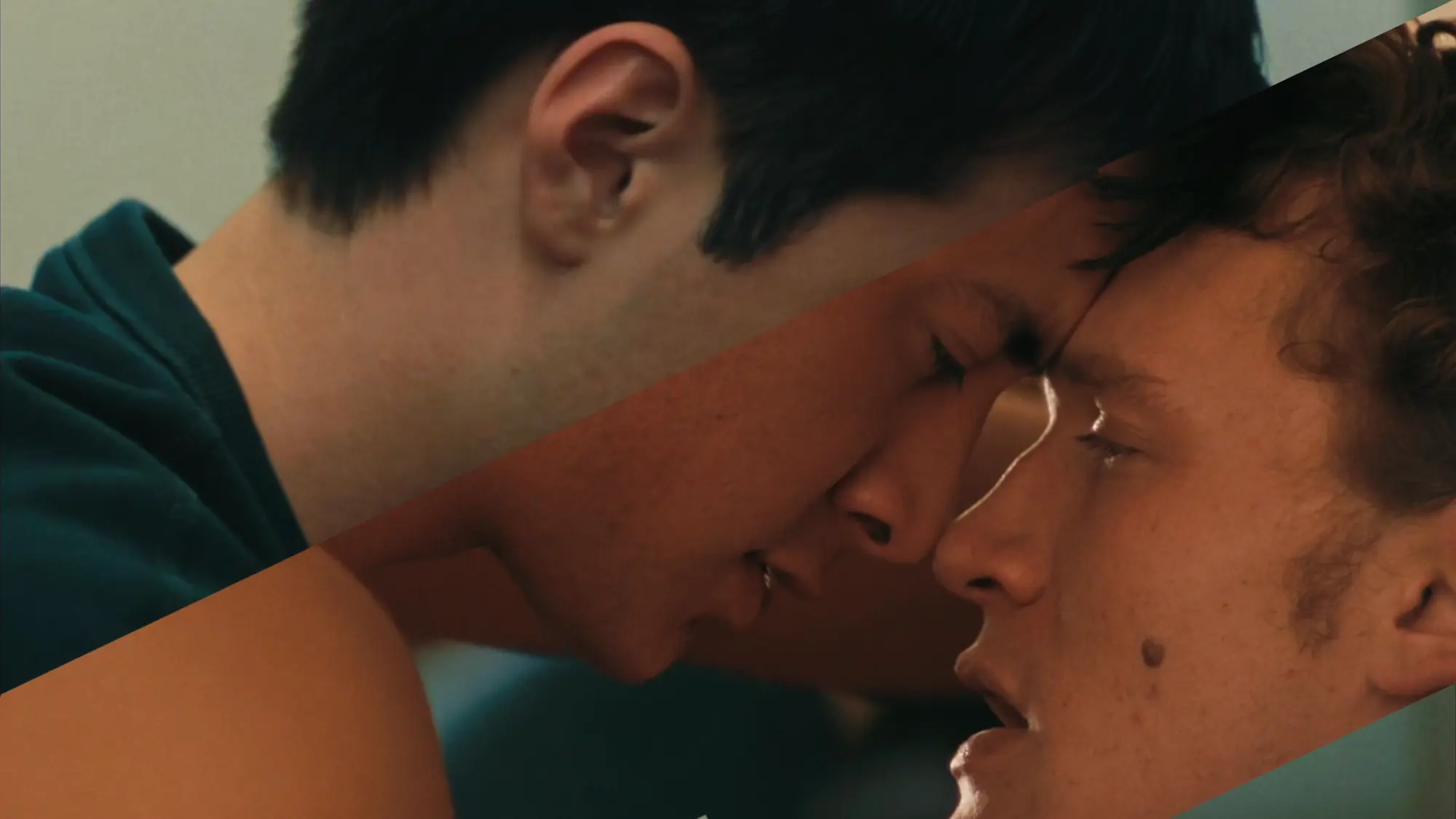 Cover image of Vivaldi - Heated Rivalry edit